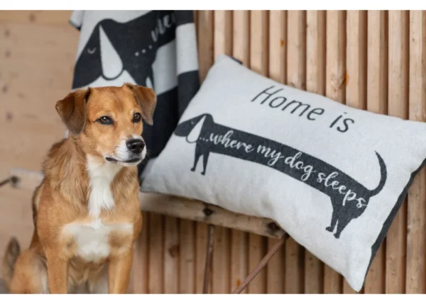 NOVA cushion cover "home is where..." (GRS) - Image 3